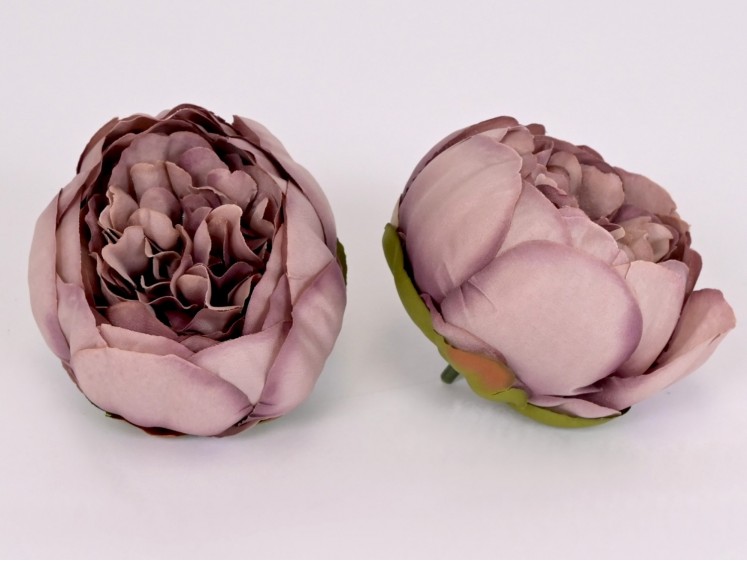 Peony flower head