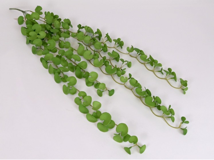 Kabanti žaluma LTGR