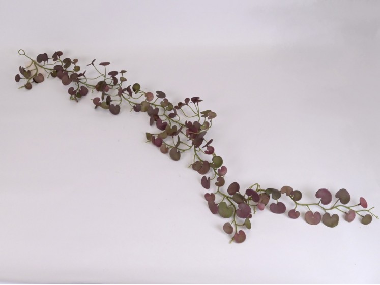 Kabanti žaluma PUGR