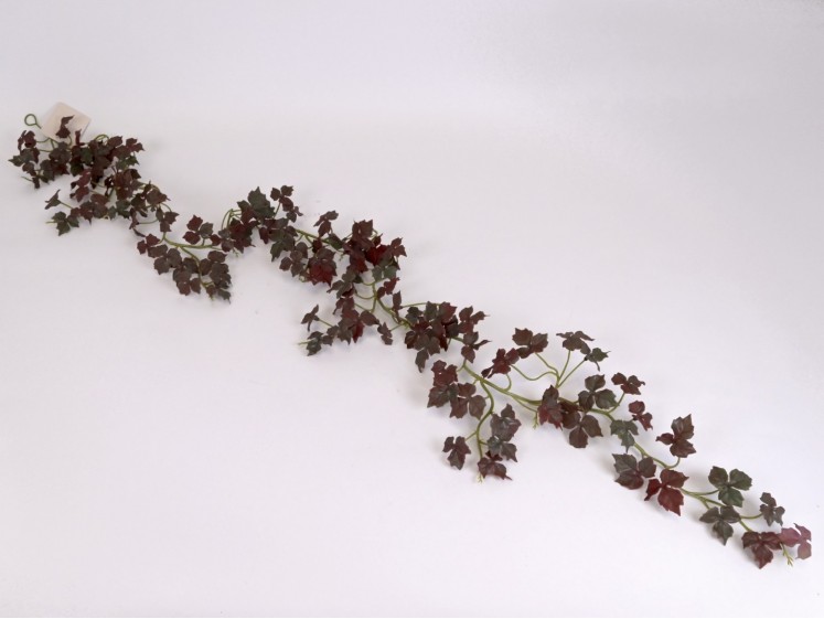 Kabanti žaluma RDGR