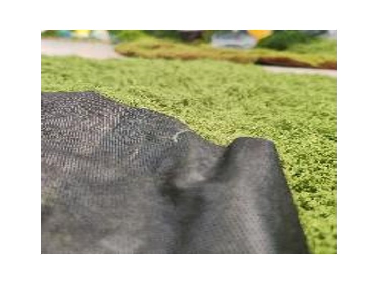 Samamų kilimas LTGR