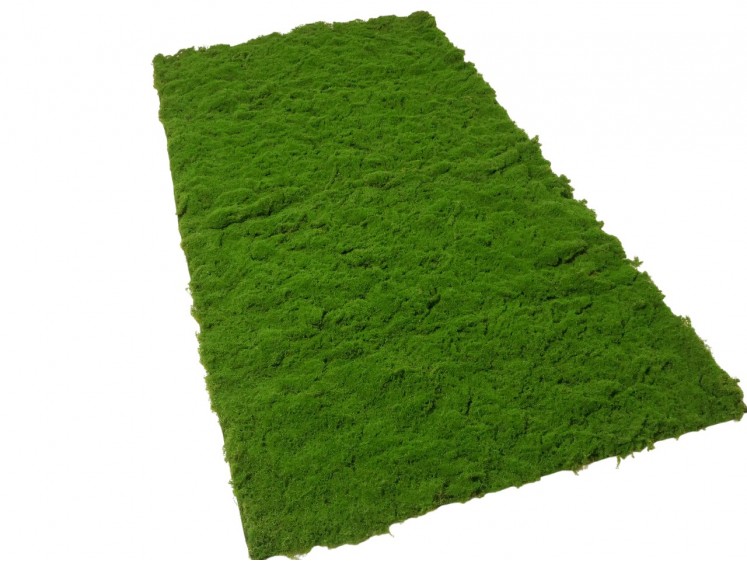 Moss Blanket