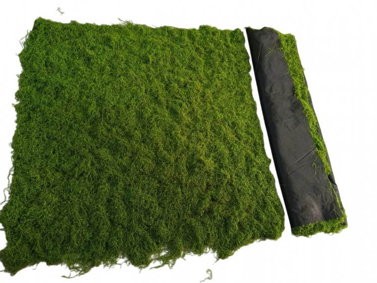 Moss Blanket
