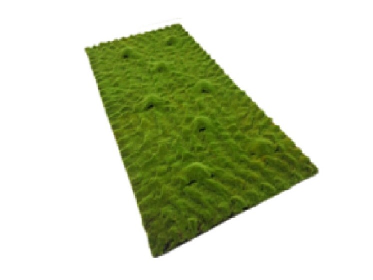 Moss Blanket