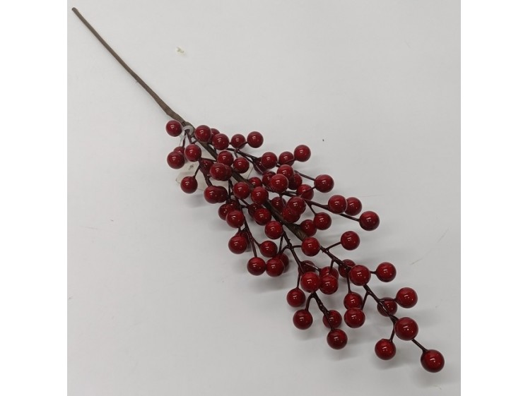 Raudonų uogų šaka