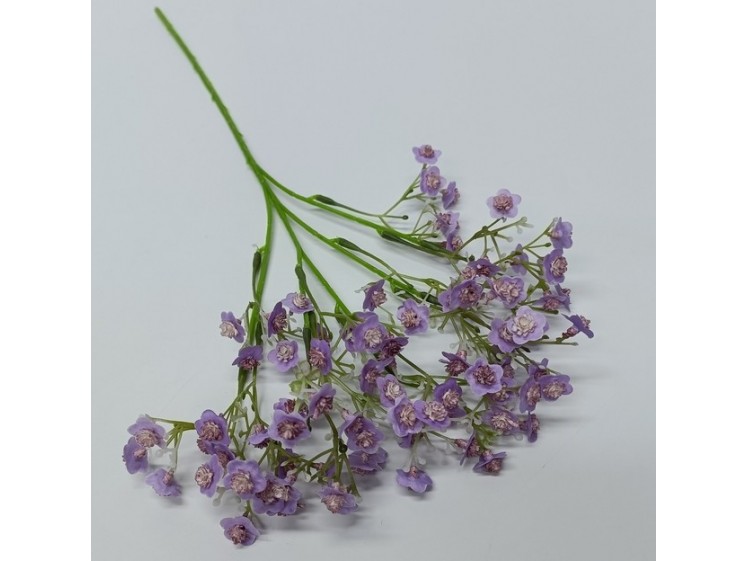 Dirbtinė gipsofilė