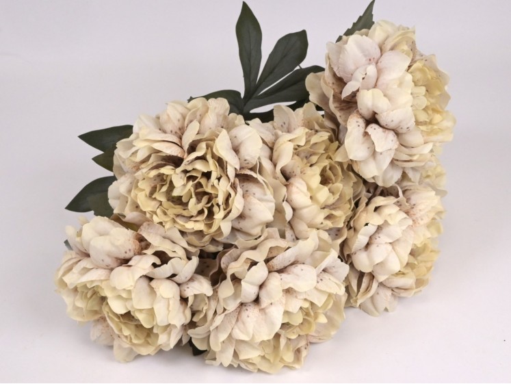 Dirbtinė Bijūnų puokštė