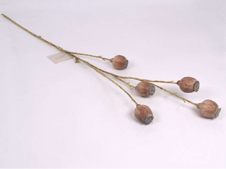 Dirbtinė šaka - aguonos...