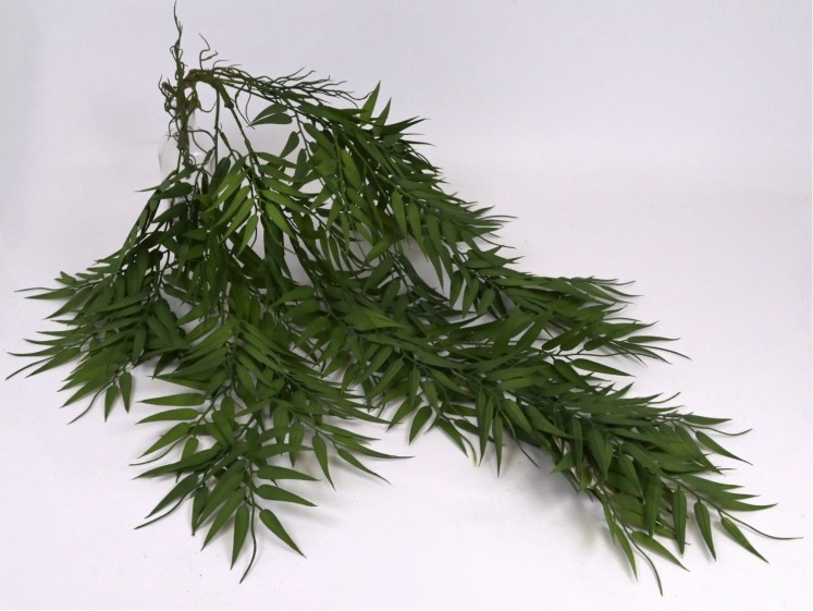 Dirtinė kabanti žaluma