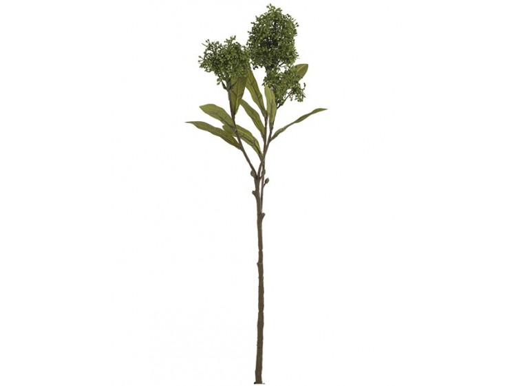 Dirbtinė skimija OLIVE