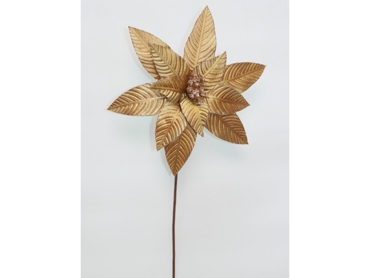 Kalėdinė puansetija...