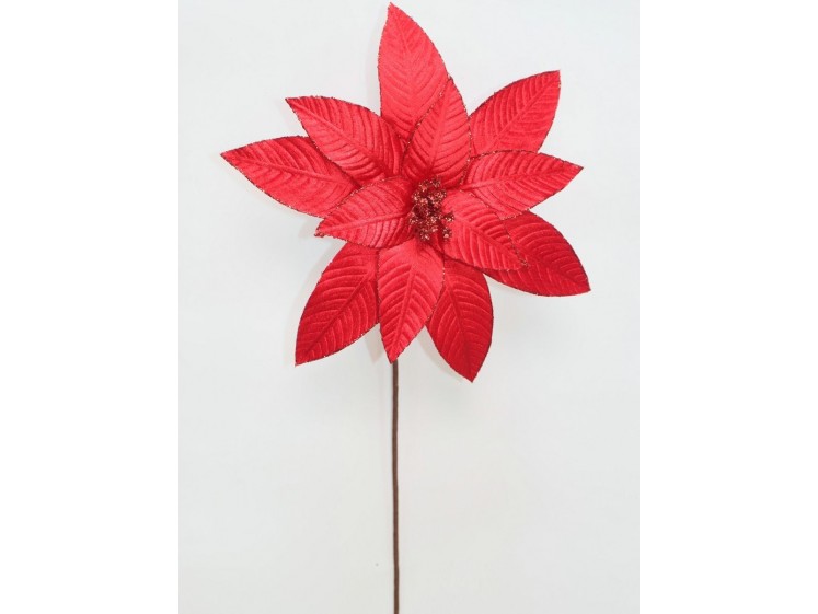 Kalėdinė puansetija Red