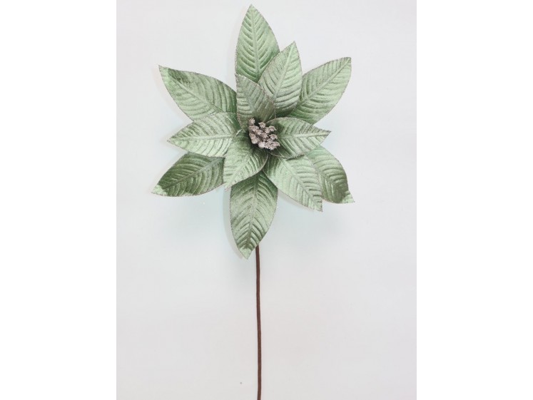 Kalėdinė puansetija Sage Green