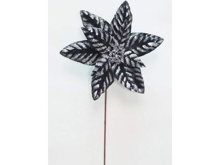 Kalėdinė puansetija VELVET...