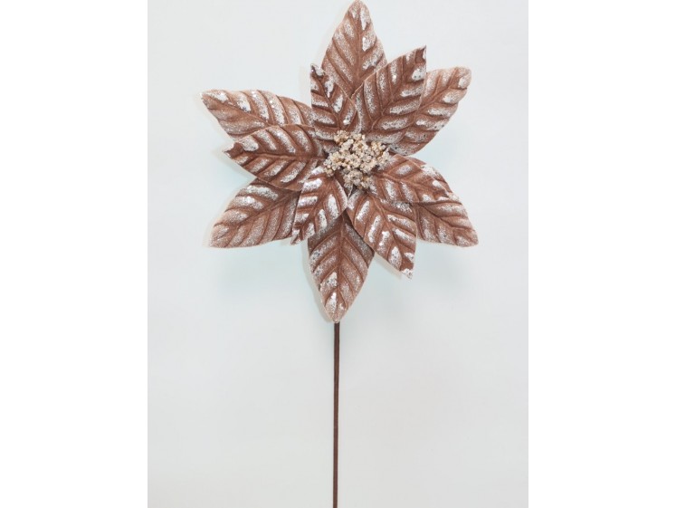 Kalėdinė puansetija VELVET...