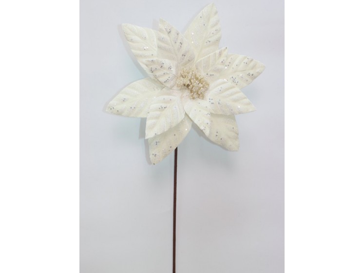 Kalėdinė puansetija VELVET...