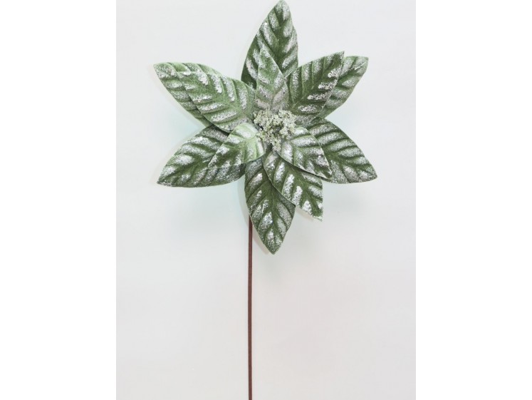 Kalėdinė puansetija VELVET...