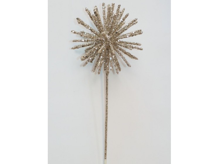 Kalėdinė šaka Champagne