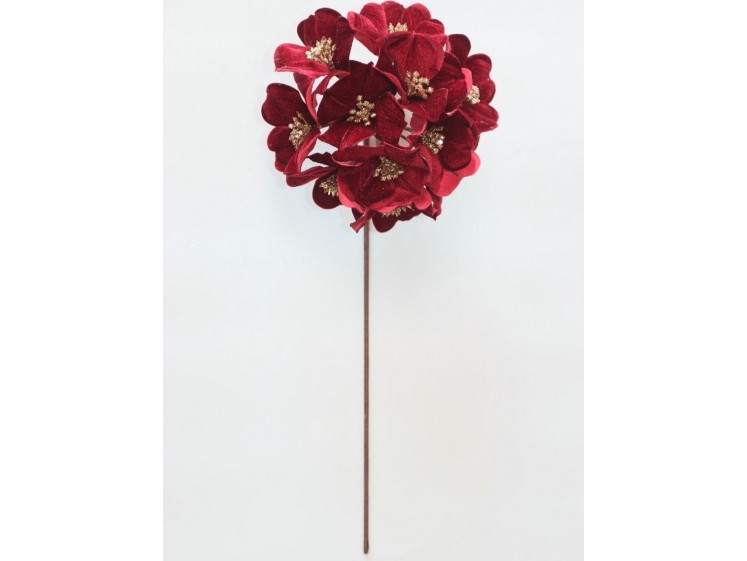 Kalėdinė hortenzija VELVET...