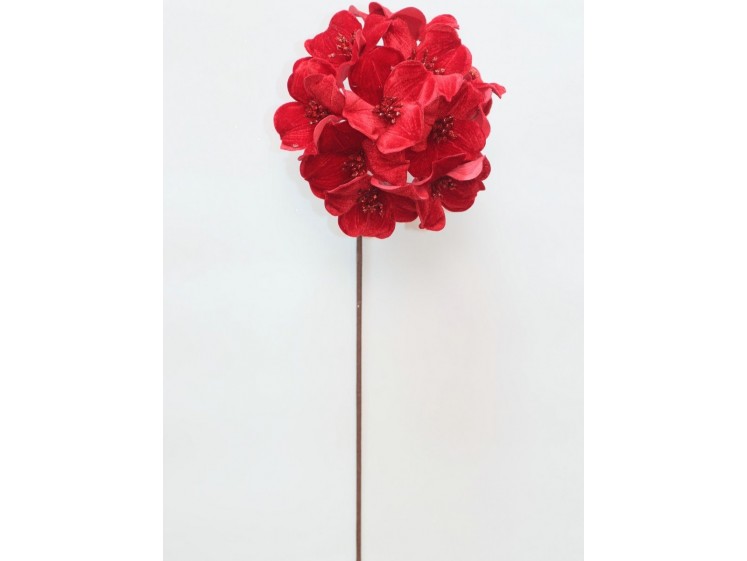 Kalėdinė hortenzija VELVET Red