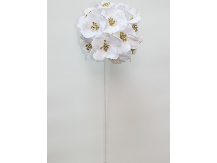 Kalėdinė hortenzija VELVET...