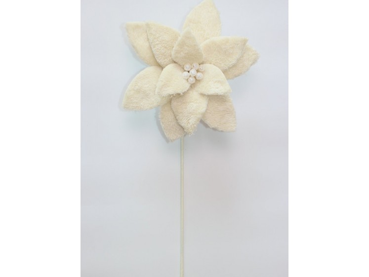 Kalėdinė puansetija VELIUR...