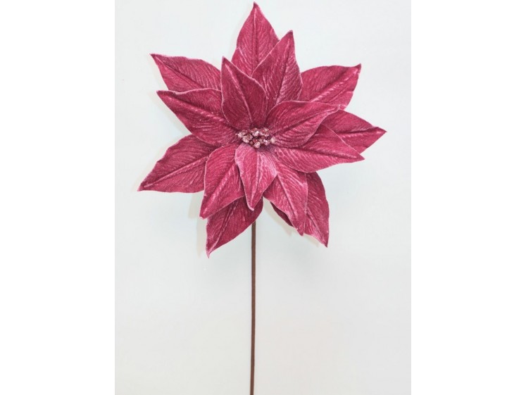 Kalėdinė puansetija Antique...