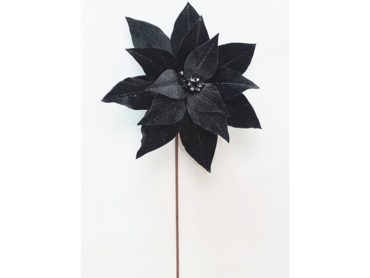 Kalėdinė puansetija Black