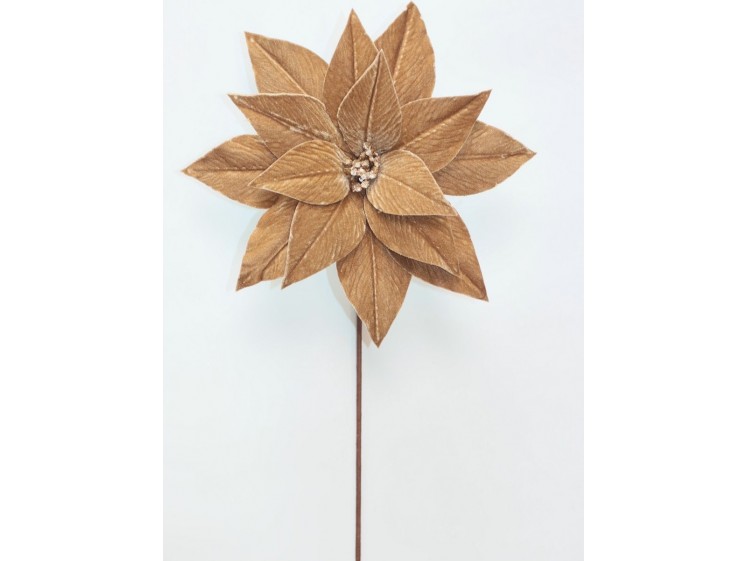 Kalėdinė puansetija...