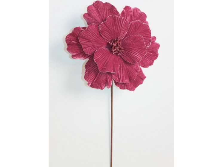 Kalėdinė puansetija Antique...