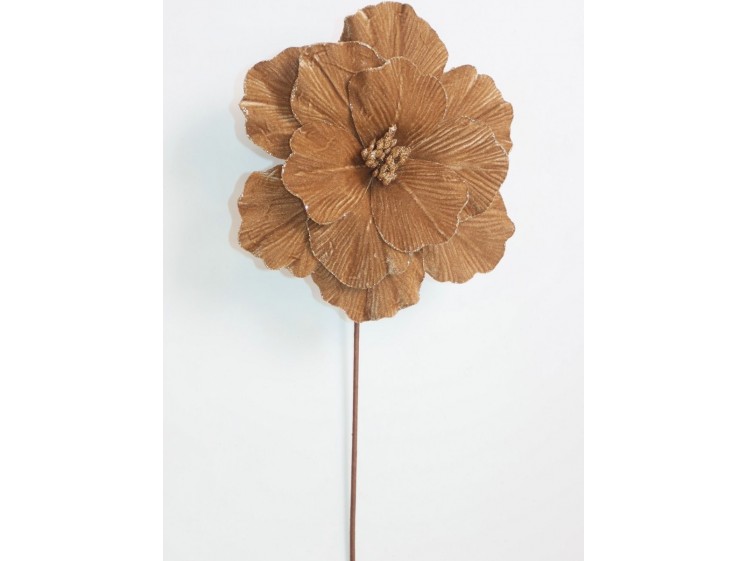 Kalėdinė puansetija...