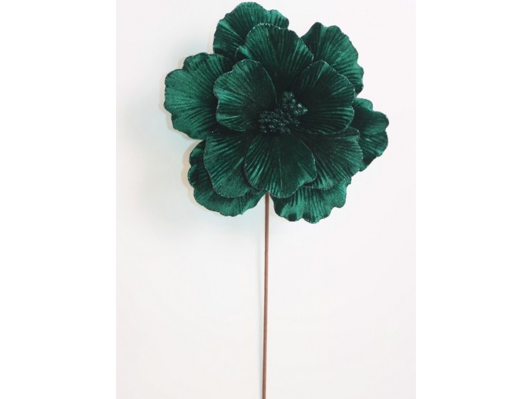 Kalėdinė puansetija Emerald