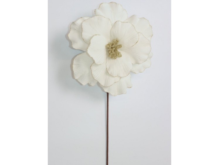 Kalėdinė puansetija Ivory