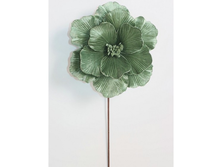 Kalėdinė puansetija Sage Green