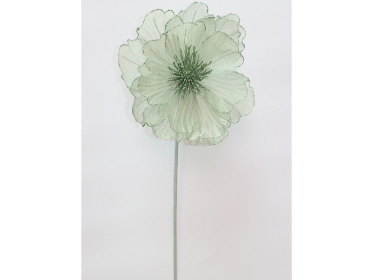 Kalėdinė puansetija Sage green