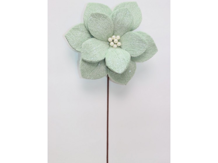 Kalėdinė puansetija Sage Green