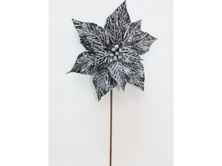 Kalėdinė puansetija Black