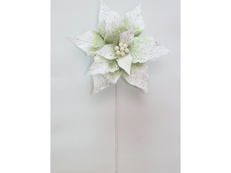 Kalėdinė puansetija Sage Green