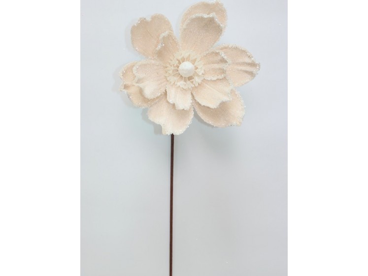 Kalėdinė magnolija VELVET...