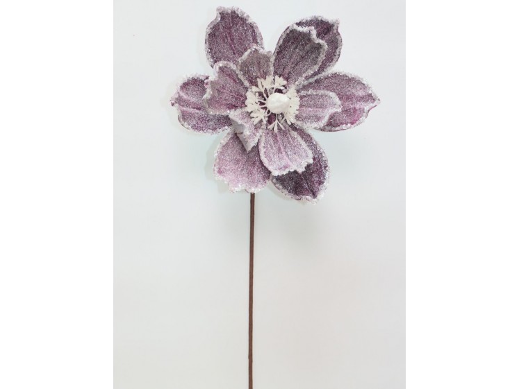 Kalėdinė magnolija VELVET Plum