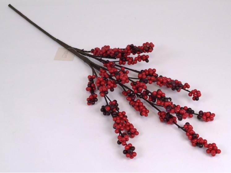 Kalėdinė uogų  šaka...