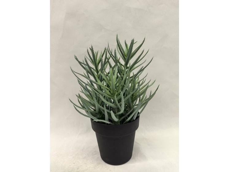 Dirbtinė žaluma vazone