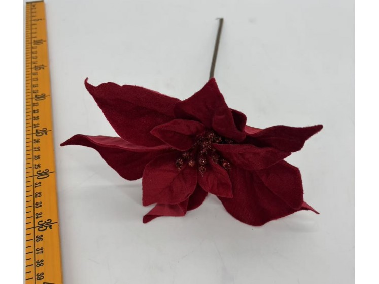 Kalėdinė puansetija VELVET