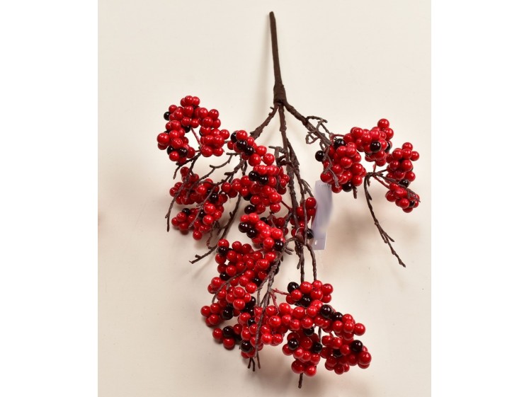 Šaka su raudonomis uogom