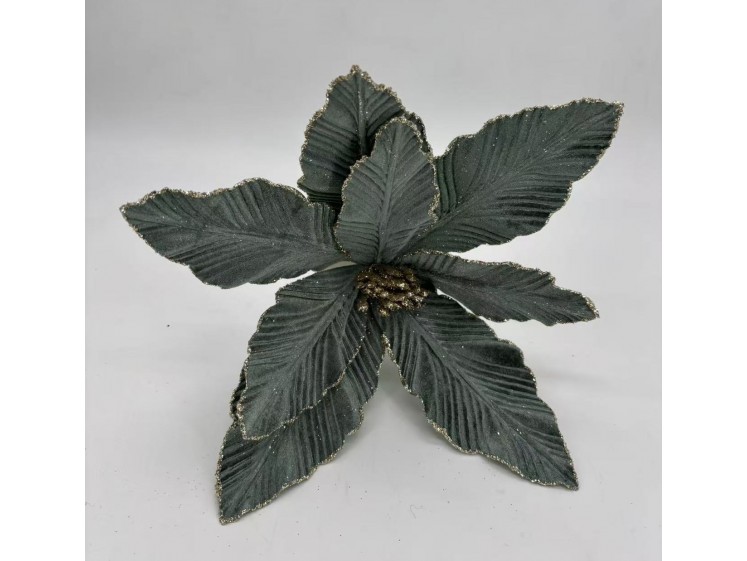 Kalėdinė puansetija VELVET