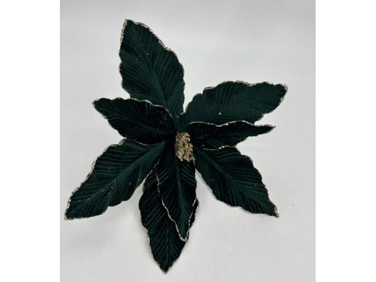 Kalėdinė puansetija VELVET