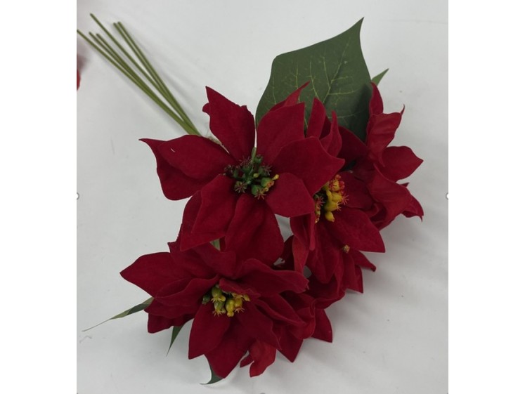 Kalėdinė puansetijos puokštė