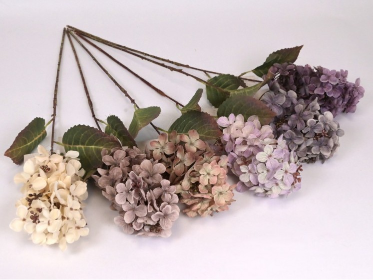 Hortenzijos šakelių MIX