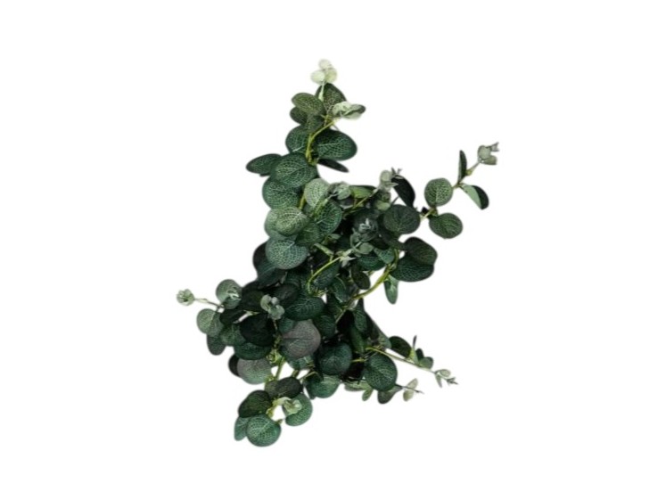 Dirbtinis eukaliptas