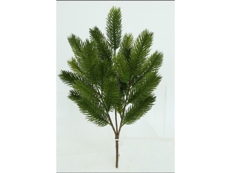 Kalėdinis pušies krūmelis